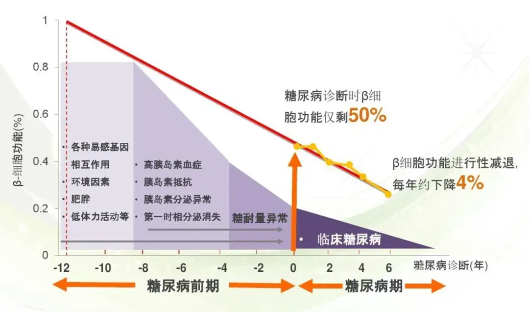 糖尿病患者胰岛功能变化趋势《糖尿病研究与临床实践》