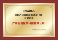 荣誉资质证书