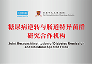 荣誉资质证书