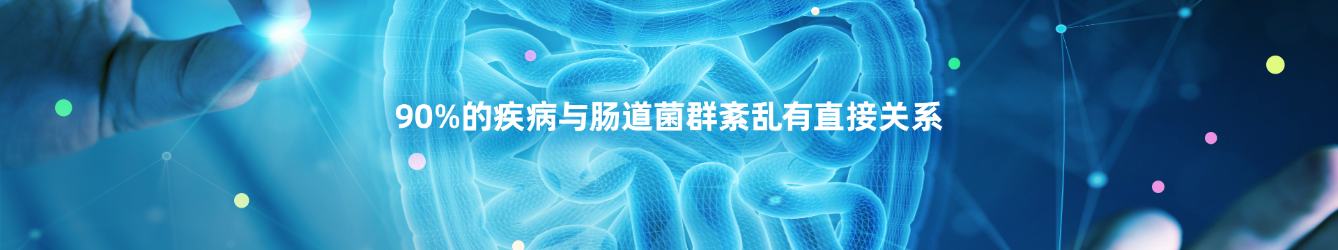 糖尿病肠道菌群